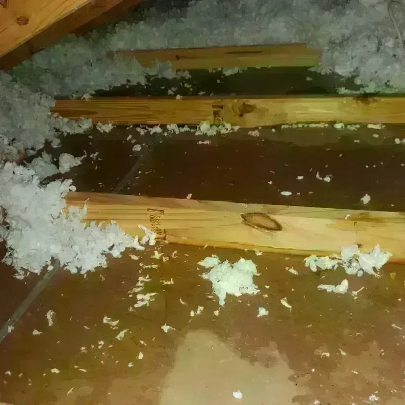 Attic Water Damage in Colonial Pine Hills, SD