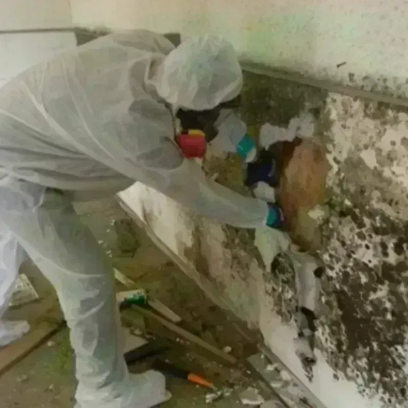 Mold Remediation and Removal in Colonial Pine Hills, SD