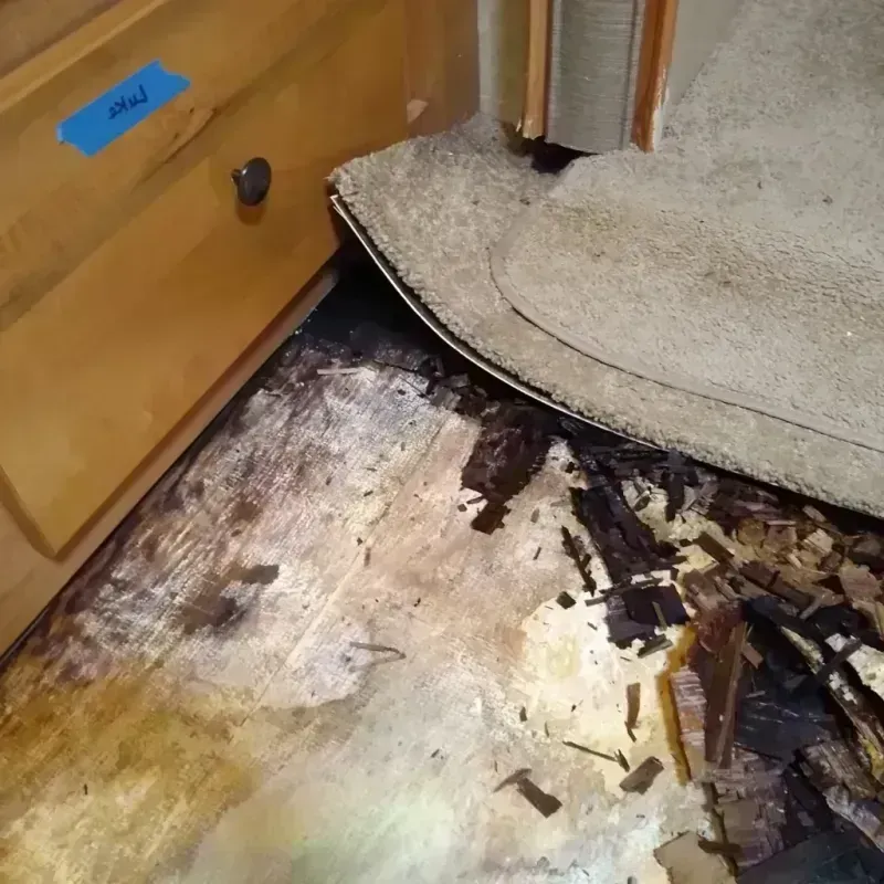 Best Wood Floor Water Damage Service in Colonial Pine Hills, SD